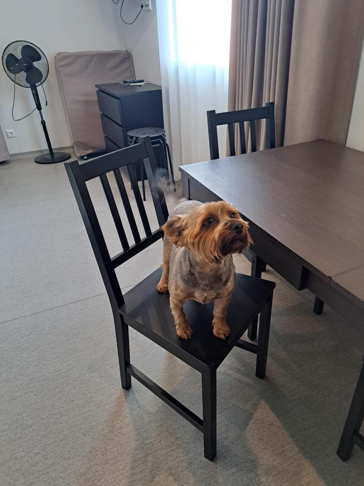 Jaunamuiza Apartamenti Valmiera Exteriör bild
