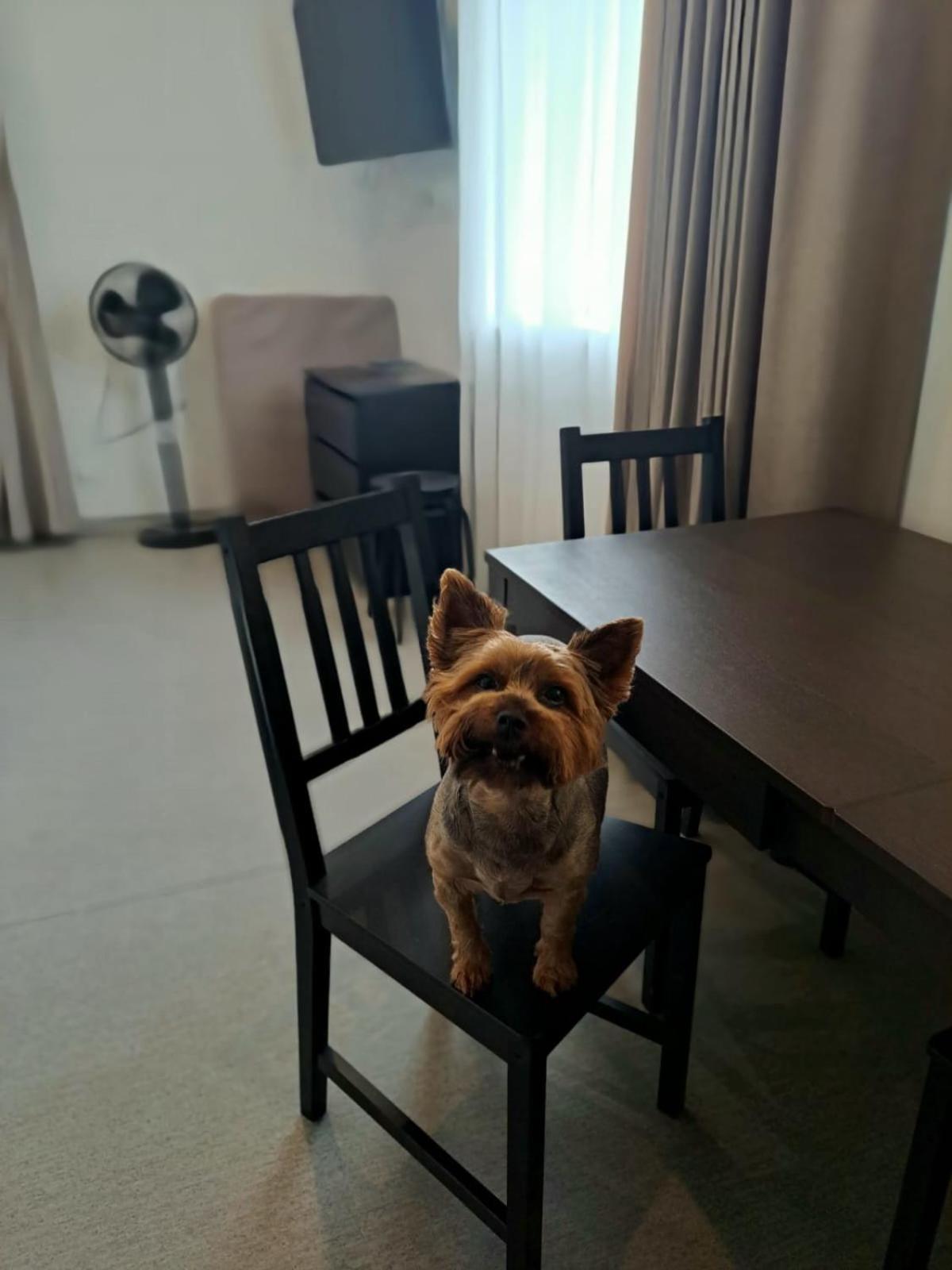 Jaunamuiza Apartamenti Valmiera Exteriör bild